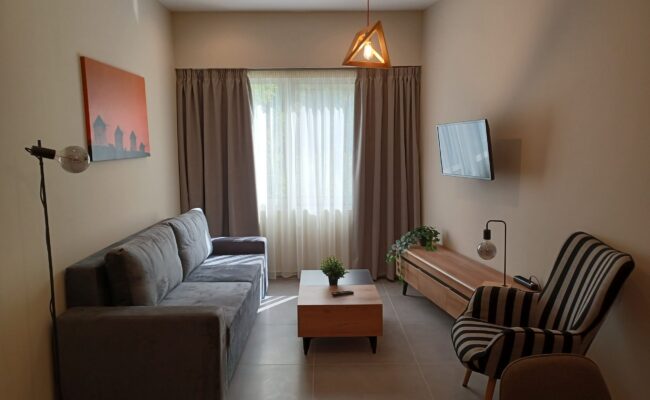 ΔΙΑΜΕΡΙΣΜΑ ΑΡ.1 - LIVING ROOM
